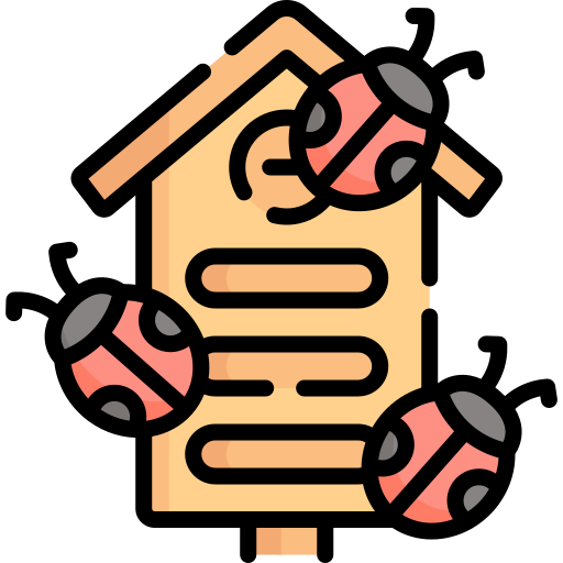 Houseflies Management