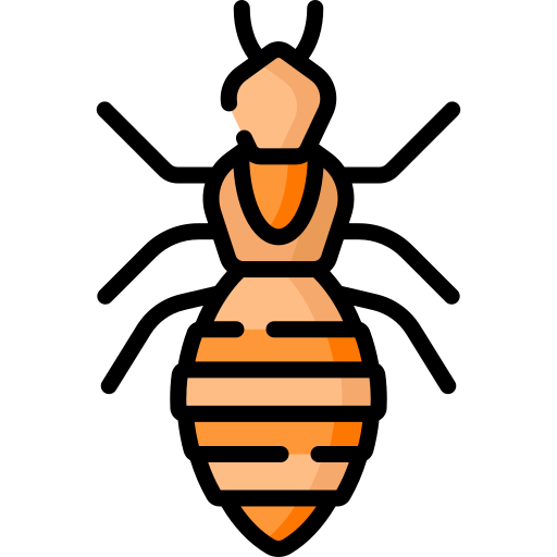 Lizard & Spider Management