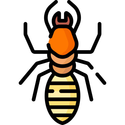 Termite Control