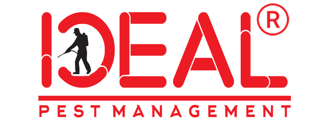 idealpestmanagement.com